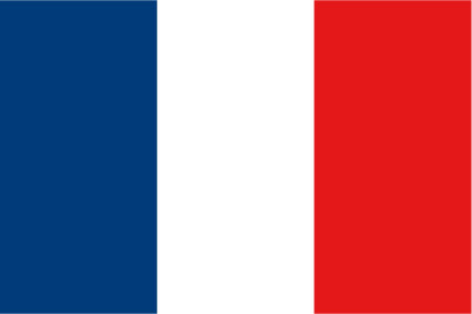 Drapeau France 80 x 120 cm - véritable drapeau Français en tissu